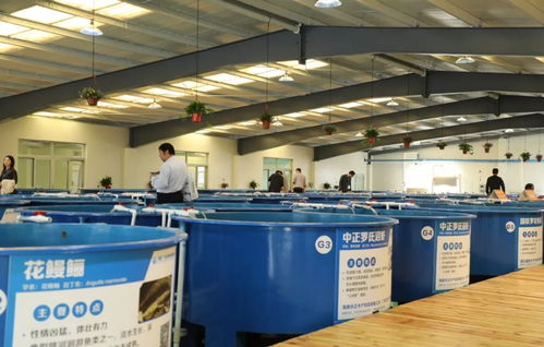 首届广东渔业种博会 没想到你是这样的博览会！