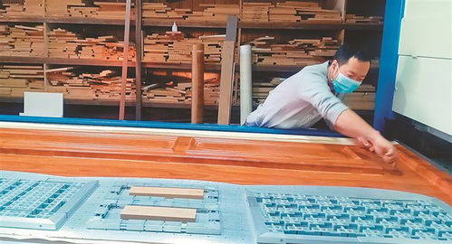 大庆 三产融合强根基，畜牧渔业饲料产业旺民生